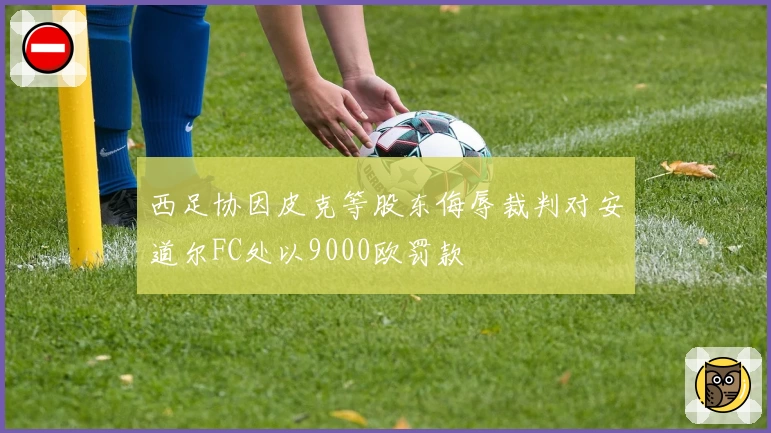西足协因皮克等股东侮辱裁判对安道尔FC处以9000欧罚款