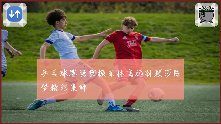 乒乓球赛场樊振东林高远孙颖莎陈梦精彩集锦