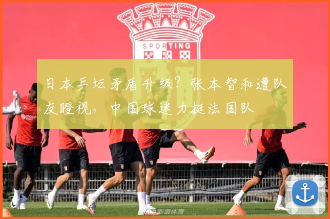 日本乒坛矛盾升级？张本智和遭队友瞪视，中国球迷力挺法国队